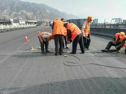 左贡道路桥梁病害治理